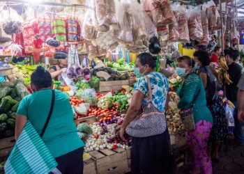 PMA inicia transferencias monetarias para familias de El Progreso