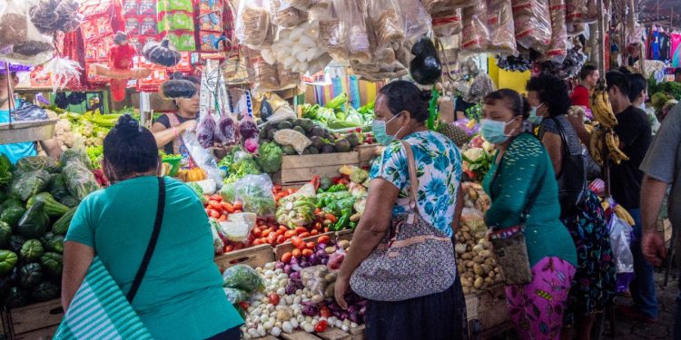 PMA inicia transferencias monetarias para familias de El Progreso