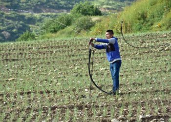 atención agrícola en el interior del país.