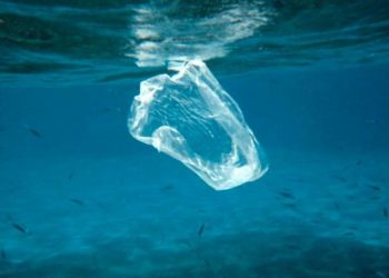 La basura marina en cifras: el 80 por ciento es plástico, sobre todo bolsas y botellas