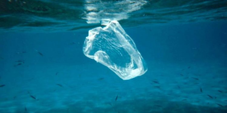 La basura marina en cifras: el 80 por ciento es plástico, sobre todo bolsas y botellas