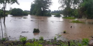 Conred atiende a 530 personas afectadas por la lluvia en Sololá y Suchitepéquez