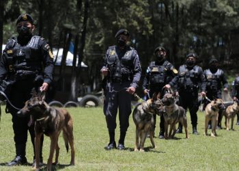 Gobernación inaugura primer curso K-9 avanzado para instructores