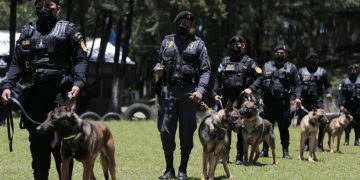Gobernación inaugura primer curso K-9 avanzado para instructores