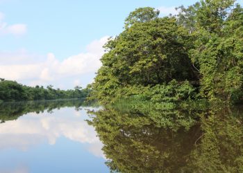Firman convenio para promover conservación de diversidad biológica
