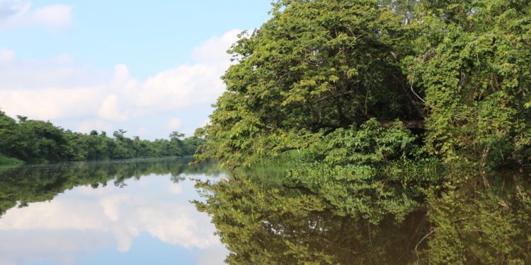 Firman convenio para promover conservación de diversidad biológica