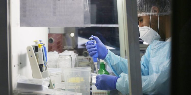 Hacer una PCR al celular, el original método chileno para frenar el COVID-19