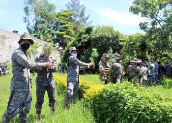 Ejército contribuye con plan de reforestación