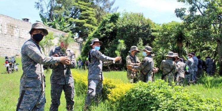 Ejército contribuye con plan de reforestación