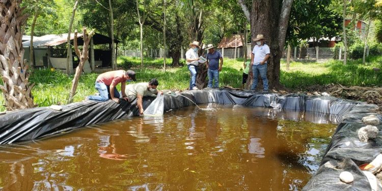 Extensionismo rural mejora desempeño productivo en Chiquimula