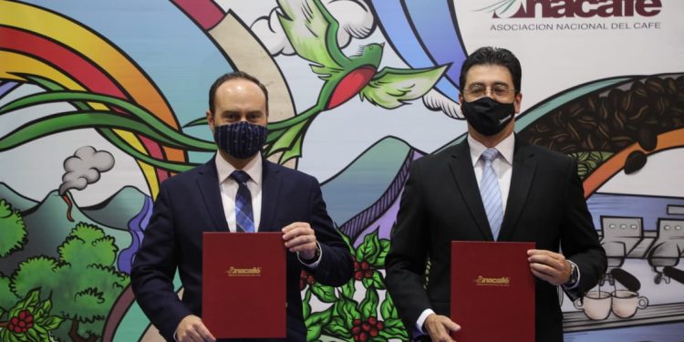 Minex reafirma compromiso de promover café guatemalteco en el extranjero