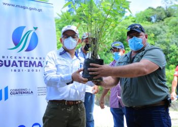 El Maga junto a autoridades locales sembrarán bambú a los alrededores del río Motagua