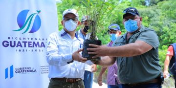 El Maga junto a autoridades locales sembrarán bambú a los alrededores del río Motagua