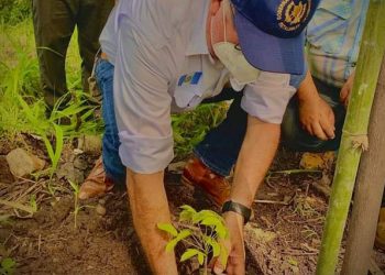 Jornada de reforestación en Retalhuleu