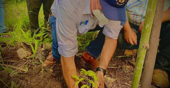 Jornada de reforestación en Retalhuleu