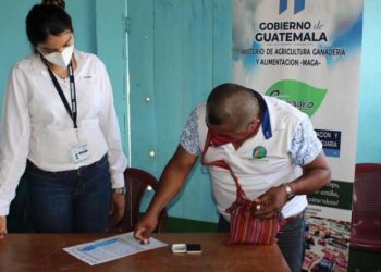 Proyectos agropecuarios fortalecen el desarrollo de Senahú