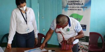 Proyectos agropecuarios fortalecen el desarrollo de Senahú