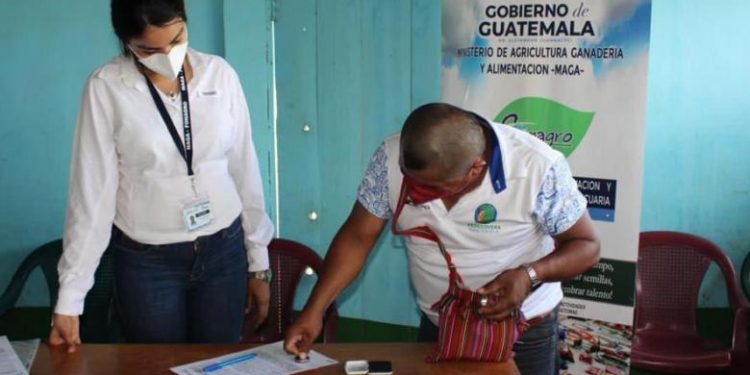 Proyectos agropecuarios fortalecen el desarrollo de Senahú