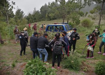 PNC y Ejército apoyan jornadas de reforestación nacional