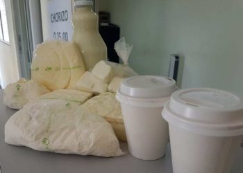 Presentan guía de interpretación de términos lecheros para protección del consumidor