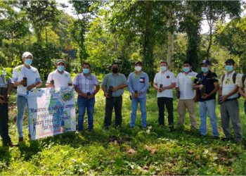 Siembran 16 mil 700 árboles en 4 departamentos durante la semana