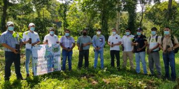 Siembran 16 mil 700 árboles en 4 departamentos durante la semana