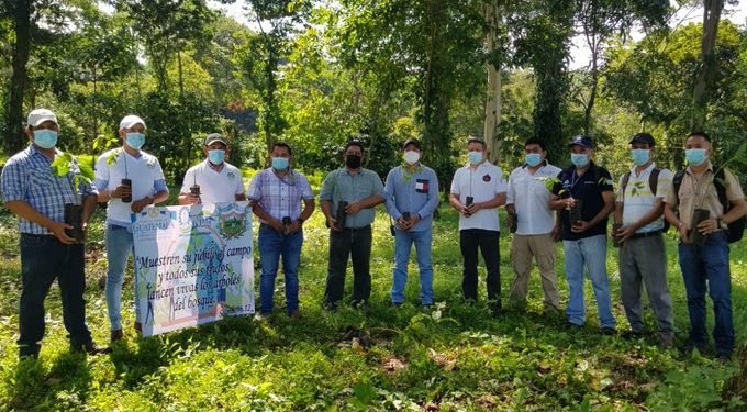 Siembran 16 mil 700 árboles en 4 departamentos durante la semana