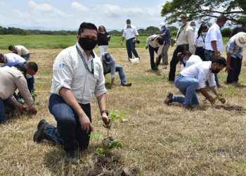 Lanzan primera fase de proyecto para reforestar 3 mil hectáreas de la costa sur