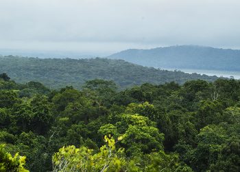 Finaliza Proyecto Protección de Recursos Naturales Selva Maya