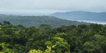 Finaliza Proyecto Protección de Recursos Naturales Selva Maya