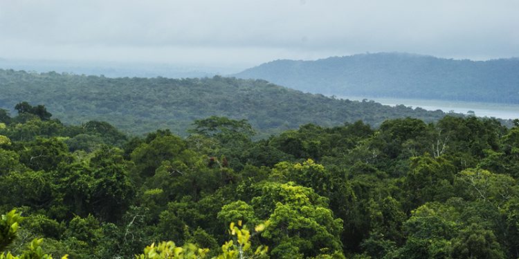 Finaliza Proyecto Protección de Recursos Naturales Selva Maya