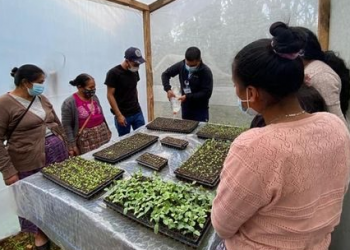 Huehuetenango: MAGA y Cunoroc capacitan a mujeres en la implementación de piloneras