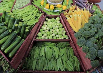 Sistemas alimentarios