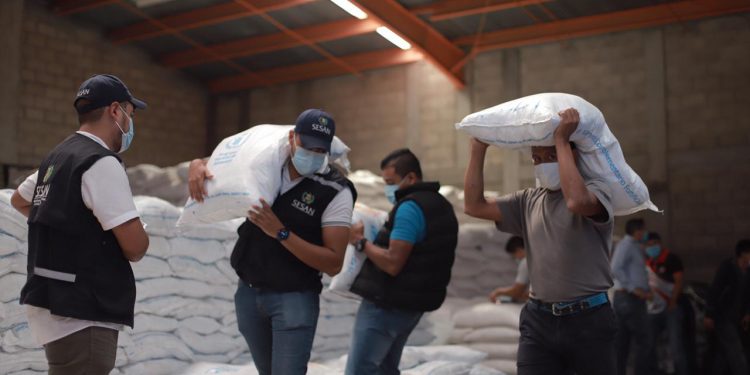 Avanza entrega de NutriNiños en Alta Verapaz