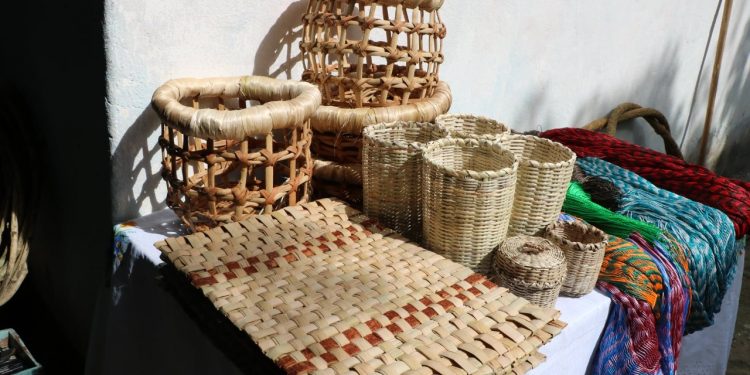Mujeres destacan en la elaboración de artesanías con recursos no maderables