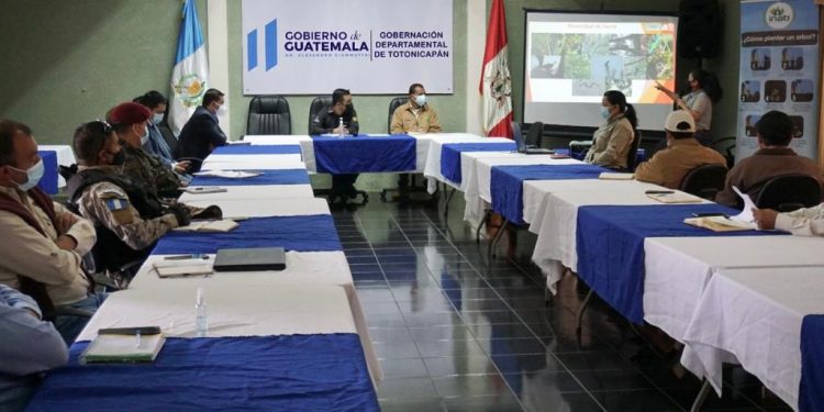 Unen esfuerzos contra la tala ilegal en Totonicapán