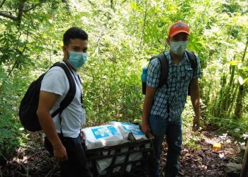 Agricultores zacapanecos se benefician con semillas de maíz biofortificadas