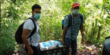 Agricultores zacapanecos se benefician con semillas de maíz biofortificadas