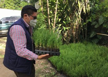 Gobernación de Sacatepéquez dirige iniciativa de reforestación