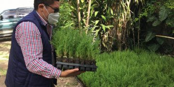 Gobernación de Sacatepéquez dirige iniciativa de reforestación