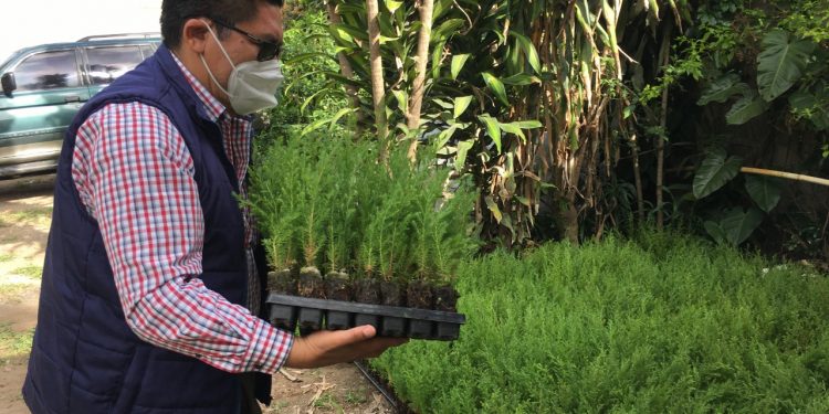 Gobernación de Sacatepéquez dirige iniciativa de reforestación
