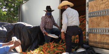 Cooperativa dona más de 15 mil libras de verdura en Sacatepéquez