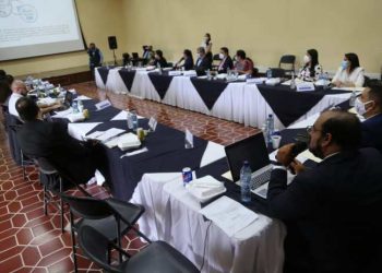 Avanza propuesta para la protección de la vida y la institucionalidad de la familia