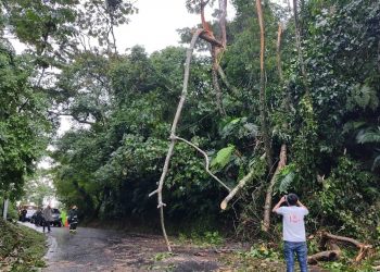 Sistema Conred asiste a 115 personas afectadas por lluvias en el interior