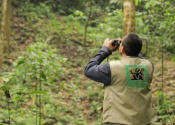 Mundial del Guardaparque: Conap reconoce labor y compromiso para proteger los tesoros naturales