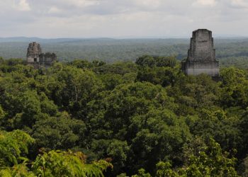 La selva maya gana casi 11 mil hectáreas con un proyecto multinacional