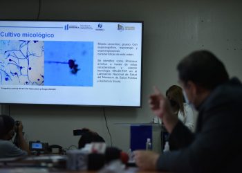 Informan acerca de caso de hongo negro