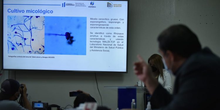 Informan acerca de caso de hongo negro