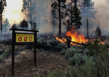 Temporada de incendios se adelanta varios meses en el oeste de EE. UU.