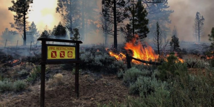 Temporada de incendios se adelanta varios meses en el oeste de EE. UU.